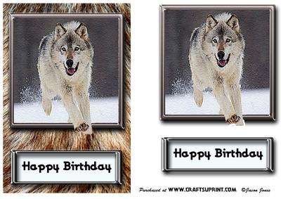 Wolf in Wolf's Clothing Card Front