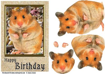 Hamster Card Front