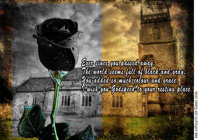 Black Rose Sympathy Card