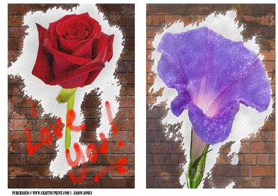 Graffiti Style Floral Card Fronts