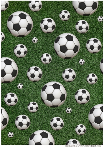 Footballs on Grass