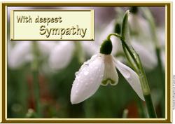 Snowdrops Sympathy Card.
