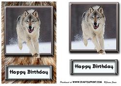 Wolf in Wolf's Clothing Card Front