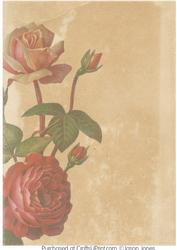 Vintage Floral Background Paper