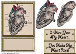 Anatomical Heart Card Front