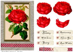 Rose Card Front with Various Sentiments