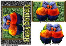 2 Parrots Card Front