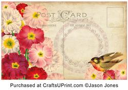 Vintage Floral Postcard Background Paper