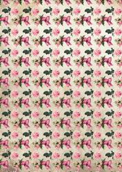 Pretty Roses and Bows Backing Paper