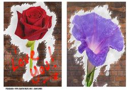 Graffiti Style Floral Card Fronts