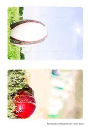 Rugby and Cricket Water Colour Toppers