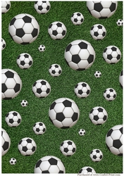 Footballs on Grass