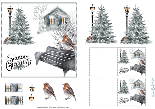 Christmas Robin card front 1