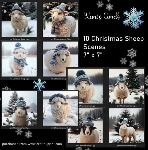 Christmas Sheep