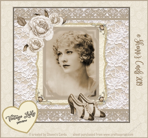 Vintage Lace framed mini kit