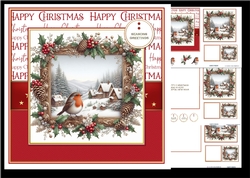 Robin - Winter Scene