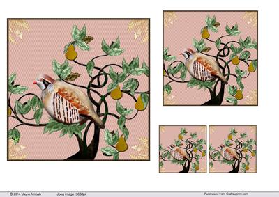 Partridge in a Pear Tree 2
