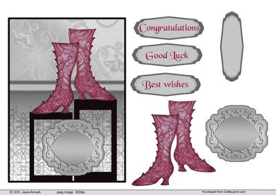Pink Victorian Boots in Black Monotones Background