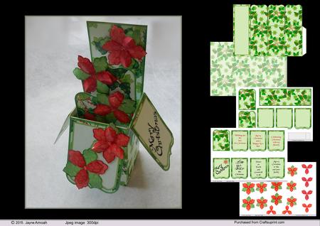 Poinsettia -3D Box of Flowers