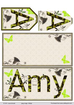 Amy Dl Card Front, Insert and Tag 1