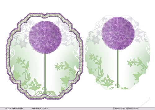 Giant Allium  Framed shaped topper