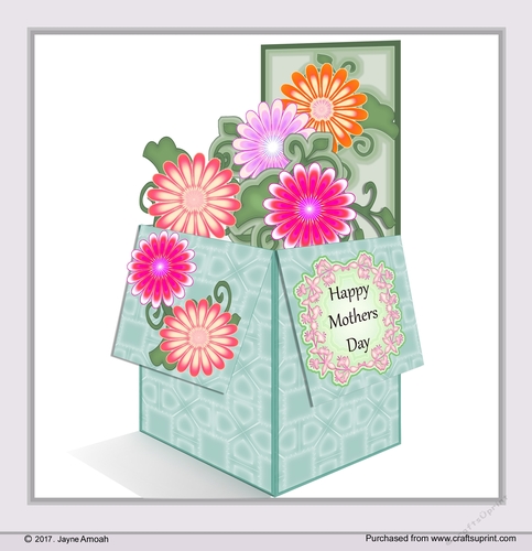 Mum - Box of Flowers (ZiggyBlue)
