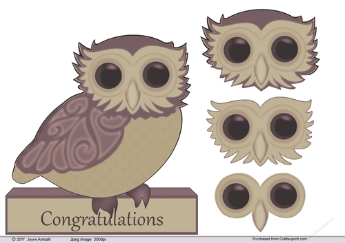 Owl decoupage with Congratulations 3