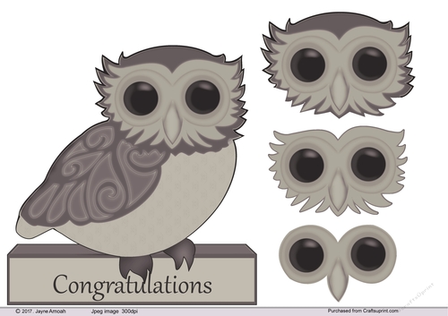 Owl decoupage with Congratulations 5