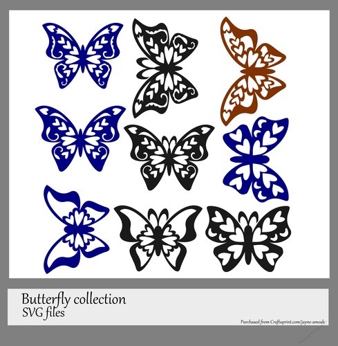 Butterfly collection