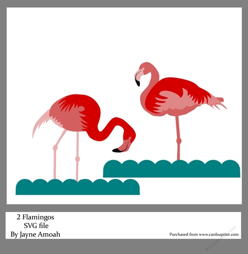 2 Flamingos SVG cutting File Kit