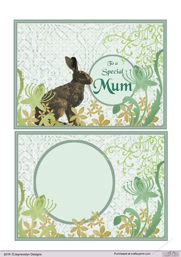 To a Special Mum D1