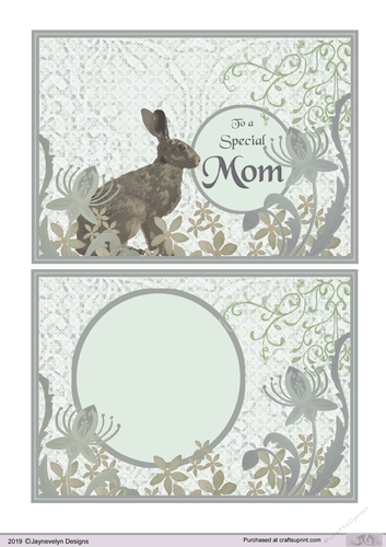 To a Special Mom, D2