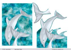 Dolphins Playing