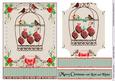 Noel Baubles in a Bird Cage
