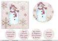 The Snowman and Robin 2