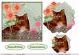 Ginger Cat 1