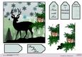 The Deer and the Owls