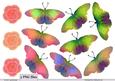 Butterflies and Roses - Png