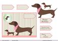 Lady Dachshunds Birthday Card Front 3