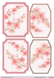 Pink Spring Blossoms