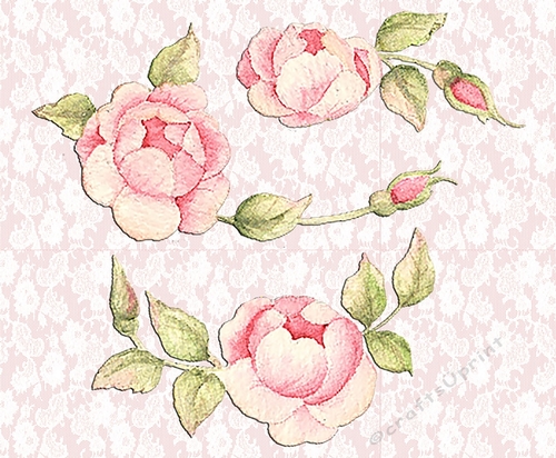 Pink Peonies