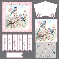 A Pink touch of Spring