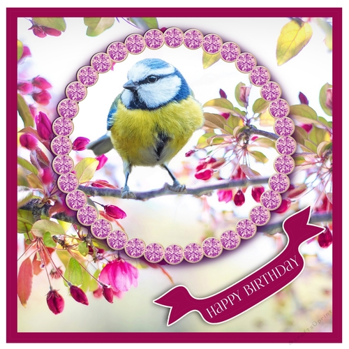 Jewelled Blue Tit Card