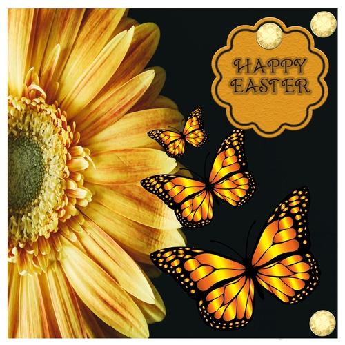 Sunflower Butterflies