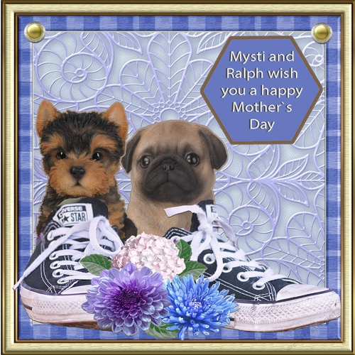 Converse Puppies Card