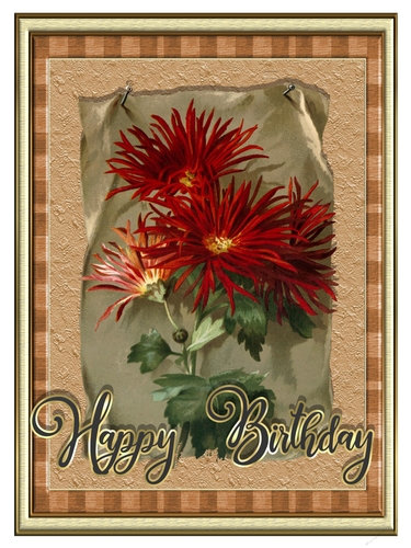 Vintage Red Mums Flower Birthday Quick Card
