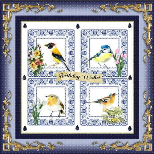 Birds In My Garden