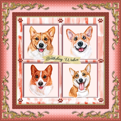 Corgis In My Garden