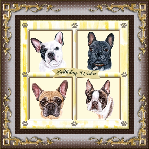 Frenchies In My Garden