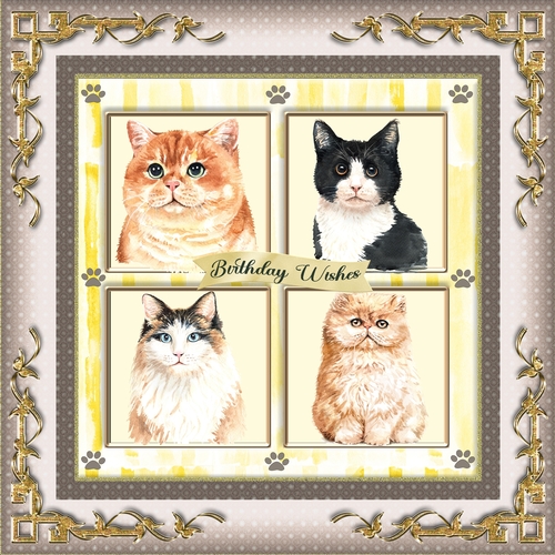 Puddy Cats In My Garden